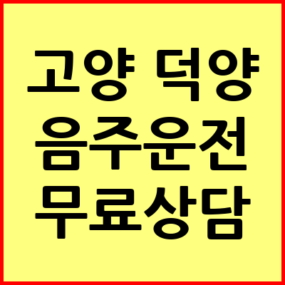 고양 덕양구 음주운전 변호사