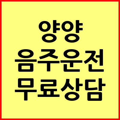 양양 음주운전 변호사