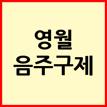 영월 음주운전 변호사