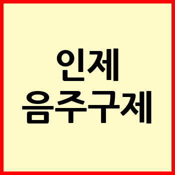 인제 음주운전 변호사