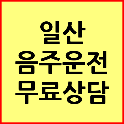 일산 음주운전 변호사