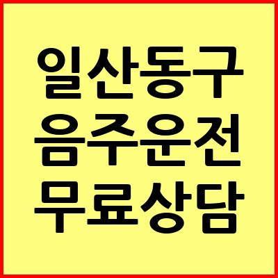 일산동구 음주운전 변호사
