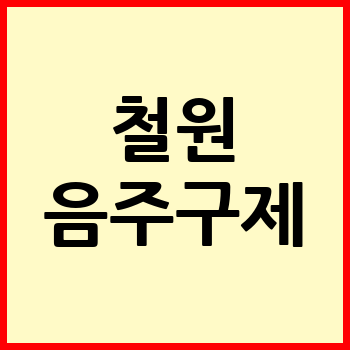 철원 음주운전 변호사