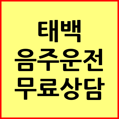 태백 음주운전 변호사