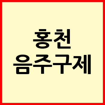 홍천 음주운전 변호사