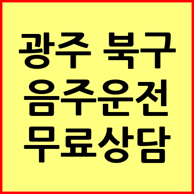 광주 북구 음주운전 변호사