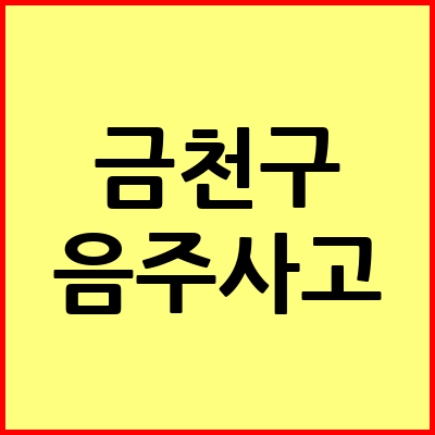 서울 금천구 음주운전 변호사