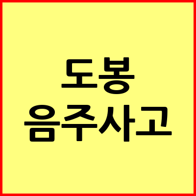 서울 도봉구 음주운전 변호사