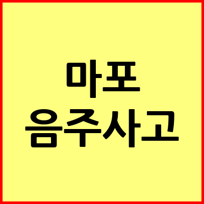 서울 마포구 음주운전 변호사