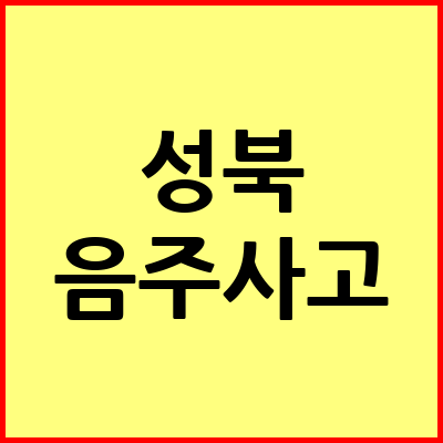 서울 성북구 음주운전 변호사
