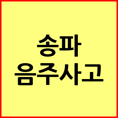 서울 송파구 음주운전 변호사
